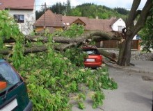 Kwikfynd Tree Cutting Services
karrakup