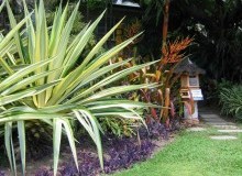 Kwikfynd Tropical Landscaping
karrakup