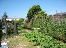 Kwikfynd Vegetable Gardens
karrakup